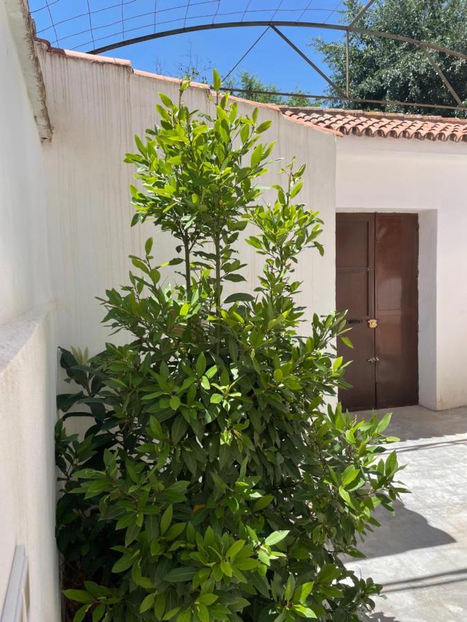 La Casita De San Nicolas Granada Buitenkant foto